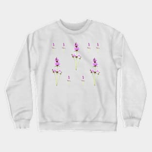 Stachys macrantha  Big Betony Crewneck Sweatshirt